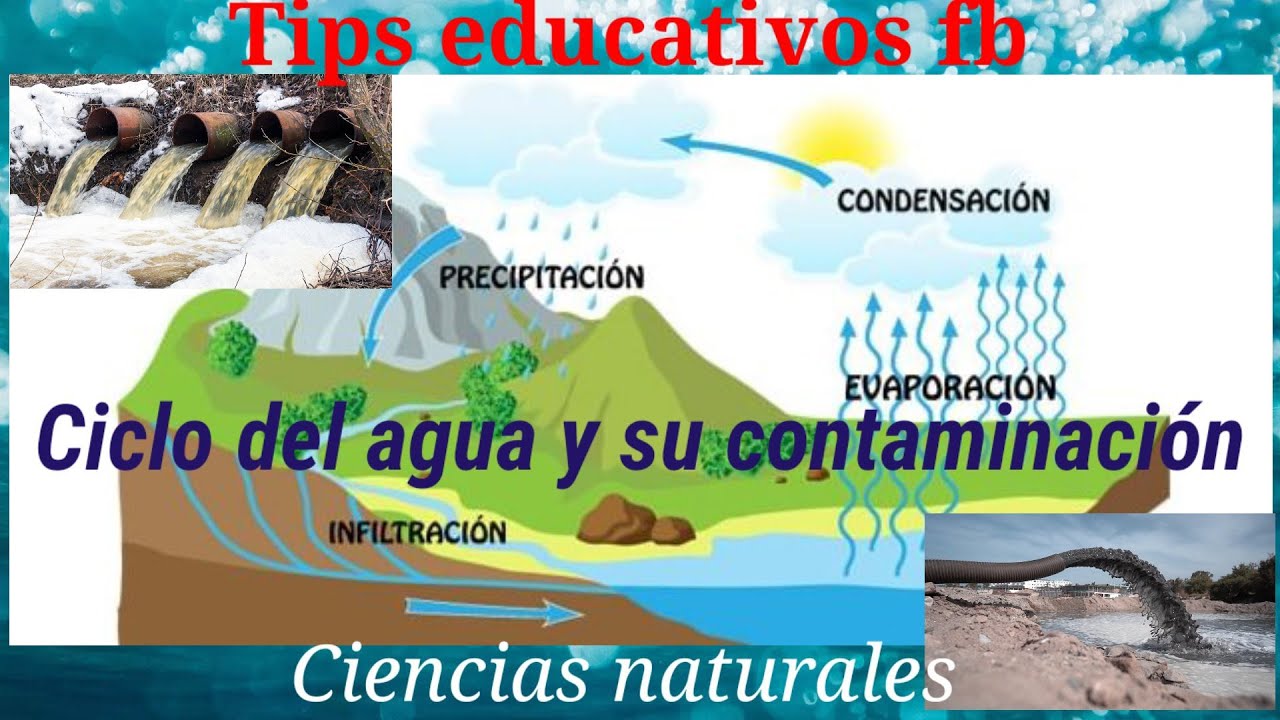 ¿Qué ocurre si se altera el ciclo del agua? - Tratamos el Agua