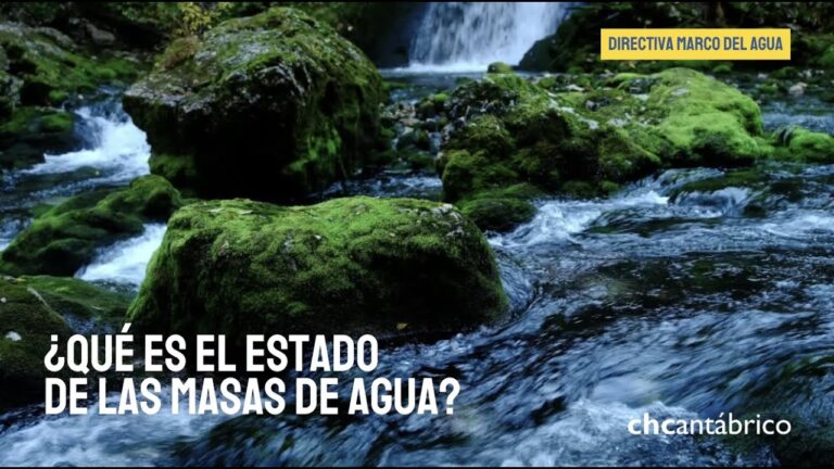 El estado ecológico de las masas de agua - Tratamos el Agua