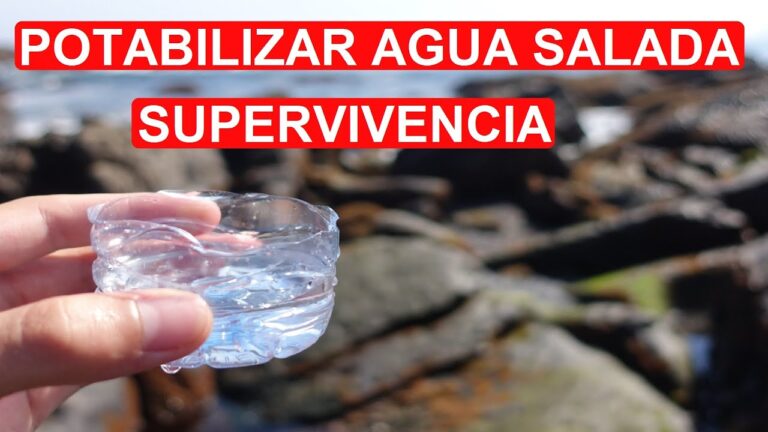 Método de separación del agua de mar: cómo obtener agua potable de una