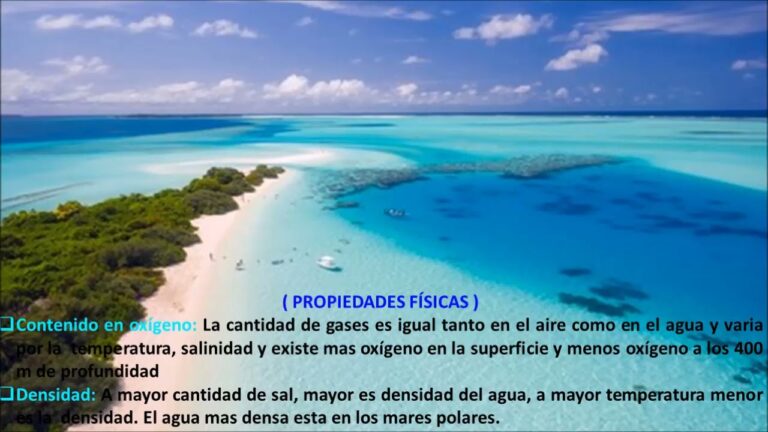 Cual Es La Importancia De Las Aguas Oceanicas tratamoselagua.es