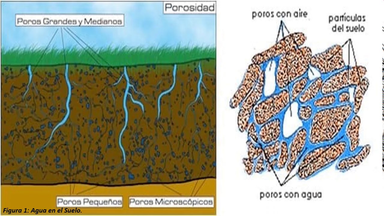 La distribución del agua en el suelo: ¿cómo funciona? - Tratamos el Agua