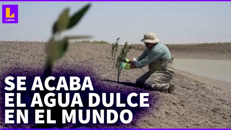 La preocupante escasez de agua en el mundo hoy en día - Tratamos el Agua